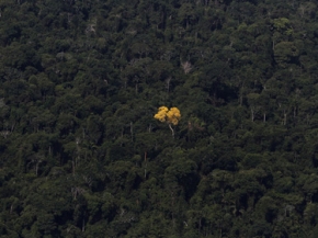 لوحات طبيعية لكوكبنا من سمائه