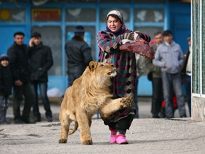 حيوانات منزلية غير أليفة