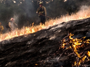 رجال الإطفاء يكافحون 