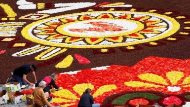 سجادة بنصف مليون زهرة في بلجيكا