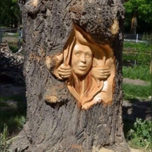 فن النحت على الشجر 