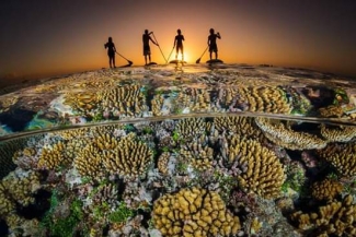 شاهد: جمال الطبيعة يتحدث في صور الفائزين بمسابقة التصوير تحت الماء