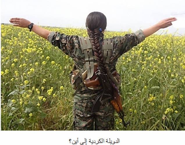 أكراد سورية بين نزعة الانفصال وحقائق التاريخ الحلقة الثالثة: مشروع الدويلة بين 1916 و2016م