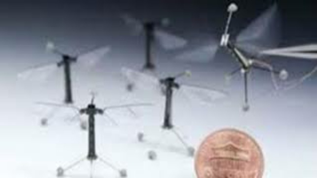 علماء يطورون روبوتات صغيرة في حجم وقدرات النحلة  