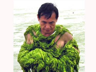 هل تنقذ الطحالب كوكبنا من الدمار البيئي؟