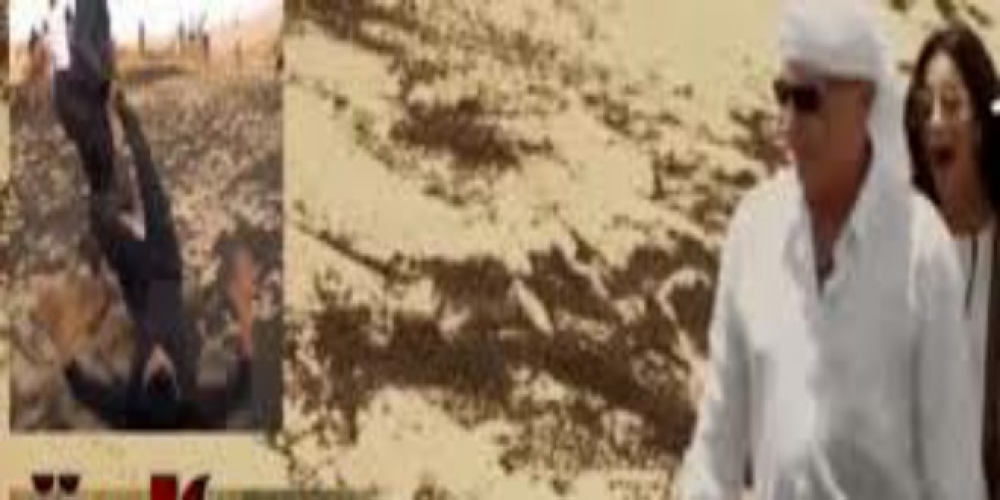 70 ألف دولار لقاء ظهور محمود حميدة ب