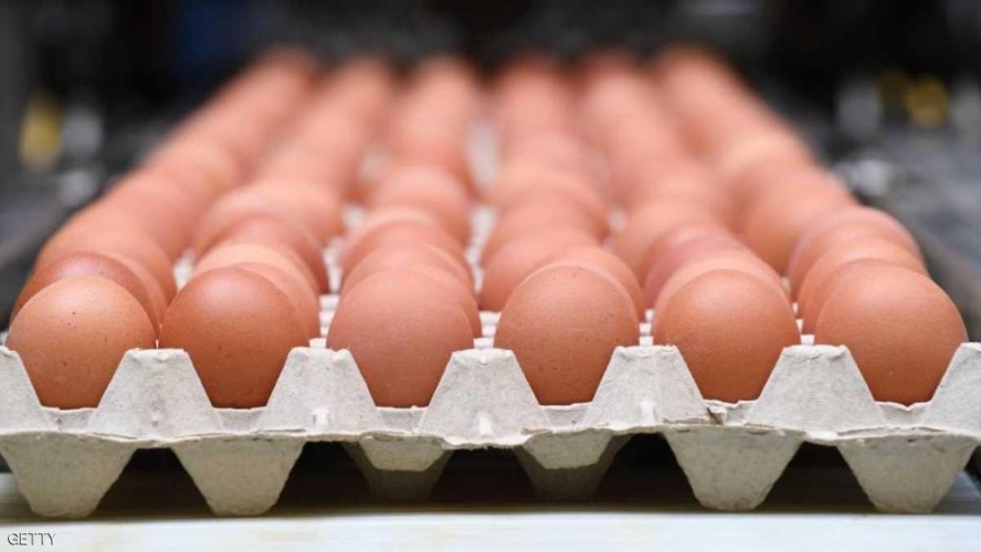 تحذير: لا لتخزين البيض بباب الثلاجة