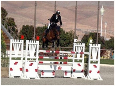 نتائج متميزة لفرساننا   في دورة شرم الشيخ الدولية لقفز الحواجز