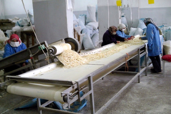 تسهيلات للفلاحين تشمل تقديم البذار واستلام المحصول.. المباشرة بتنفيذ مشروع قطار مدينة المعارض والانتهاء قبل المهلة المحددة!