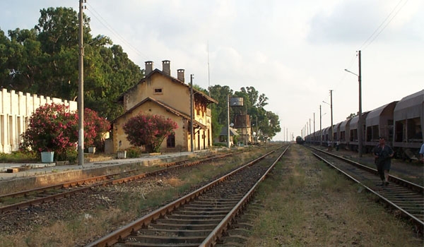 خارطة طريق للنقل السككي: الوصول لحجم نقل 50 مليون طن سنويا.. جهوزية محطة القدم للنقل من وإلى مدينة المعارض!