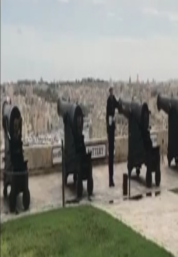 شاهد لماذا هذا الطائر سيء الحظ ؟!