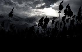 أستاذ في جامعة امريكية يكشف أي الاعوام أسوأ في تاريخ البشرية