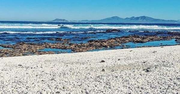 شاهد بالصور... شاطئ رملي حبات رمله من البوشار