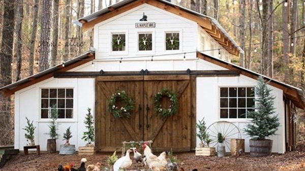 حفل زفاف دجاجة وديك في أمريكا..