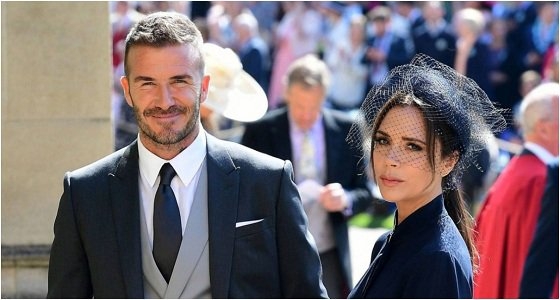  سعر بطانية الكلبة يستفز جمهور ديفيد وفيكتوريا بيكهام