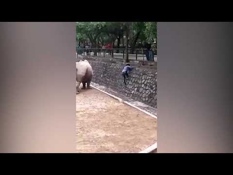  هل يمكن ان تجازف الفتاة بحياتها لاجل هاتف جوال..؟ شاهد بالفيديو