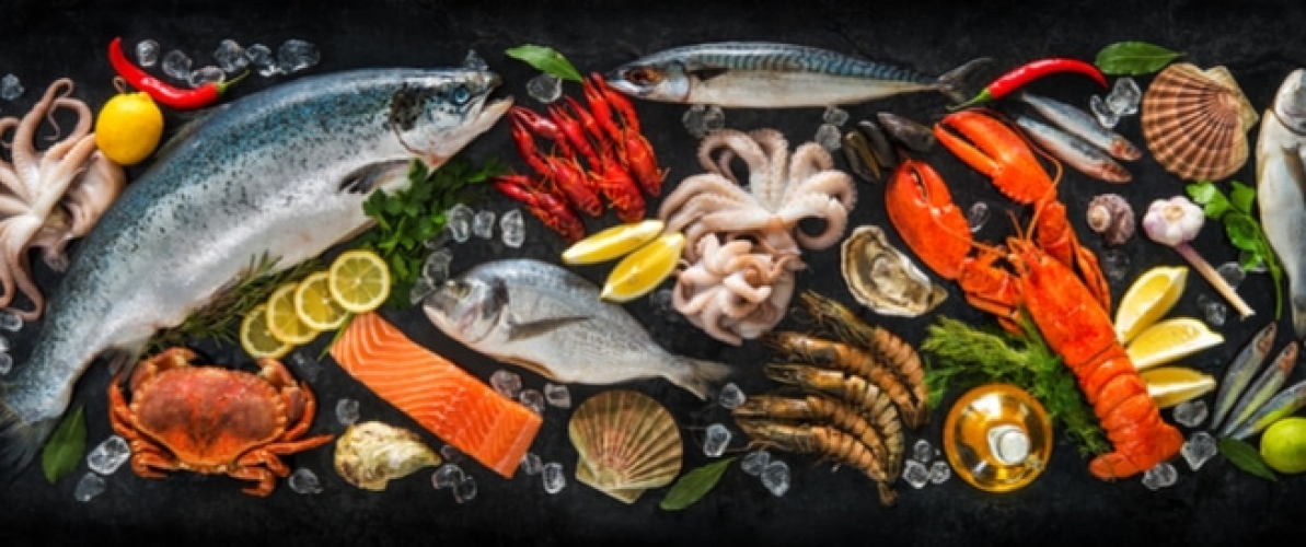 هذه الأطعمة تعزّز القدرة الجنسية