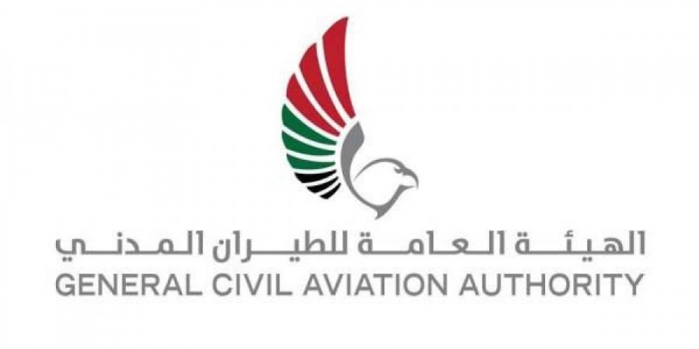 ما حقيقة سقوط طائرة ملكية في دبي؟