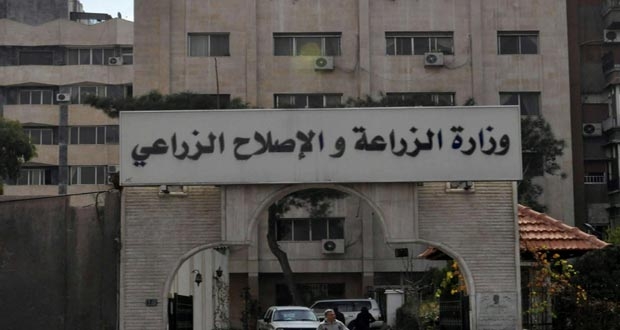 الزراعة: 40 شركة محلية ثبتت مشاركتها في 