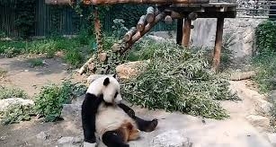 القبض على مصور حاول إيقاظ 