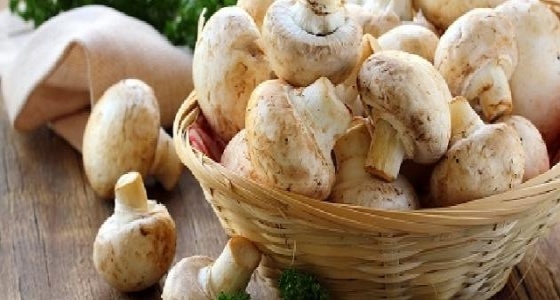  دراسة: تناول الفطر يحمي الرجال من مرض خطير جداً