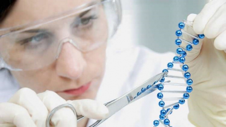  باحث مصري يكتشف طريقة جديدة لمواجهة التشوهات الجينية ويفوز بجائزة عالمية