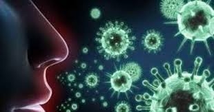 كن شريكاً في التصدي لفيروس كورونا 