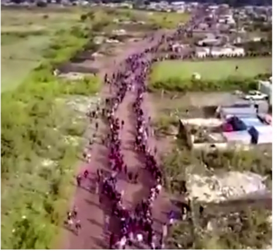 شاهد ..طابور بطول 4 كيلومتر للحصول على سلة غذائية في سنتوريون بجنوب افريقيا ؟!