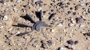 إصابة مواطن بانفجار لغم بحصادة في ريف محردة