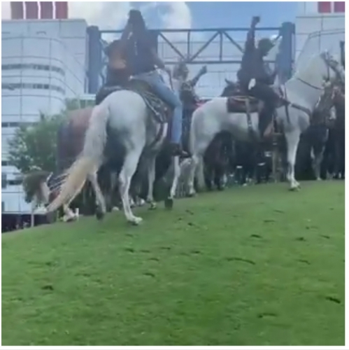 بالفيديو.. المتظاهرون في أمريكا يفاجئون ترامب بـ