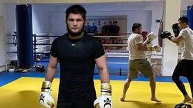 وكيل حبيب يحسم الجدل حول الاعتزال