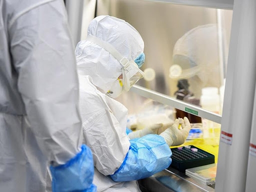 مكتب دفن الموتى: انخفاض وفيات 