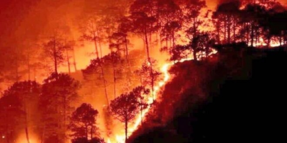 القبض على 14 من المتهمين في إشعال حرائق طرطوس