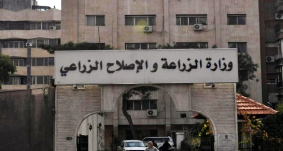 وزارة الزراعة: صدّرنا 50 كلب للخليج، وأكثر من 7000 سلحفاة لدول شرق آسيا خلال هذا العام