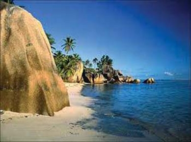 العلماء يعيدون اكتشاف 