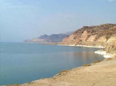 الفورسايت الدولية