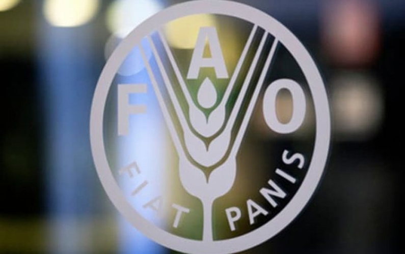فاو: أسعار الغذاء العالمي ترتفع في آذار للشهر العاشر