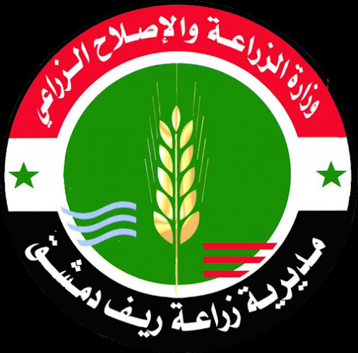 استنفار للتعامل مع أسراب الجراد.. مكافحة 1150 دونماً في ريف دمشق و400 دونم في دمشق