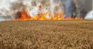 30 حريقًا في مستوطنات 