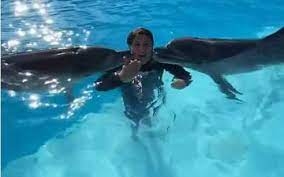 بالفيديو.. هالة صدقي تسبح مع الدلافين في شرم الشيخ