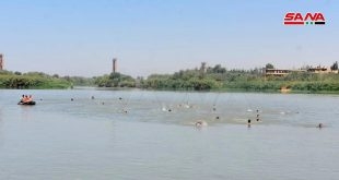 دير الزور .. إقامة سباق الفرات المفتوح للسباحة بعد 11 عام من الإنقطاع   