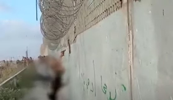 بالفيديو .. المشهد الذي قال عنه السيد حسن نصر الله  