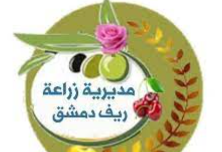 مديرية الزراعة في ريف دمشق ترفض إرسالية بذور بندورة وخيار هولندية المنشأ