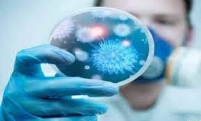 علماء يابانيون يعثرون على 