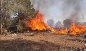 منصة الغابات تحذر من إشعال أي نيران!