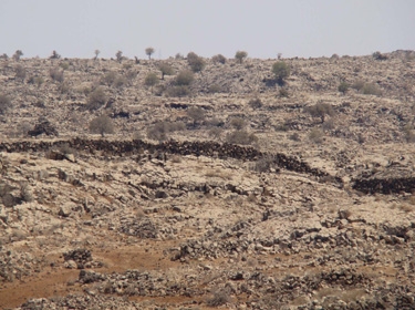 منطقة اللجاة في السويداء سكنها الإنسان منذ 3600 قبل الميلاد وصنفتها الأمم المتحدة ضمن المحميات الطبيعية