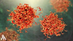 حقن أول مريض بشري بفيروس ثوري / قاتل للسرطان/ !!