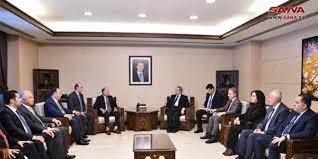 الوزير المقداد لـ فرنانديز: الجالية السورية في الباراغواي زادت من تعزيز العلاقات بين البلدين