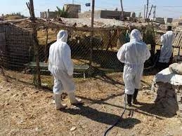 الحمى النزفية تنتشر عبر القراد في العراق بشكل مقلق