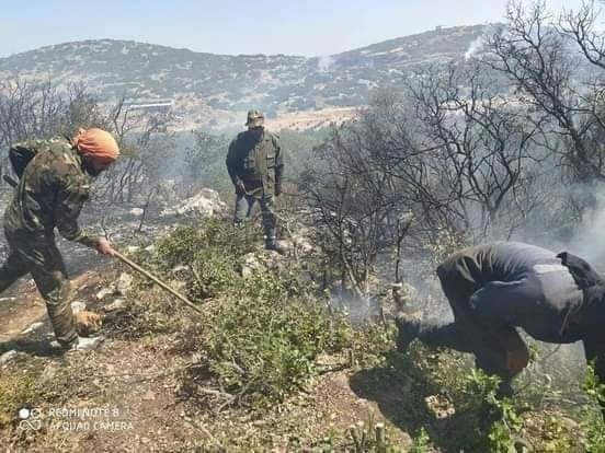 تدخل سريع لفرق إطفاء الحراج في حماة والغاب وطرطوس واللاذقية وحمص منع حرائق مصياف من الانتشار 